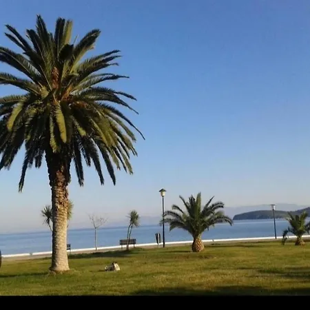 Dimi *