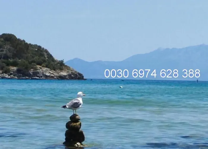 Dimi Διαμέρισμα *